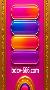 cv666-এর বিশেষ ভিআইপি প্রোগ্রাম
